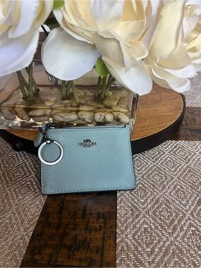 Coach Mini Skinny ID in Marine/ Gunmetal
